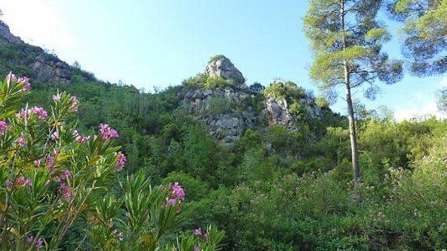 Paraje Natural de Tabarla.