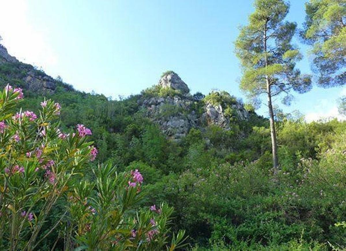 Paraje Natural de Tabarla.