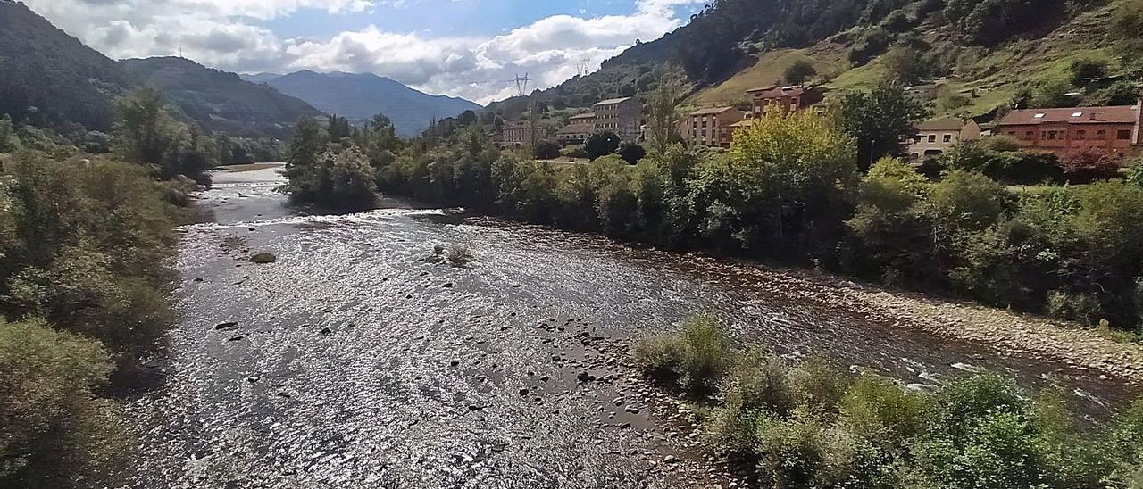 El tramo del río Caudal que transcurre próximo al polígono de Reicastro, oculto entre los árboles, al fondo a la derecha. | D. M.