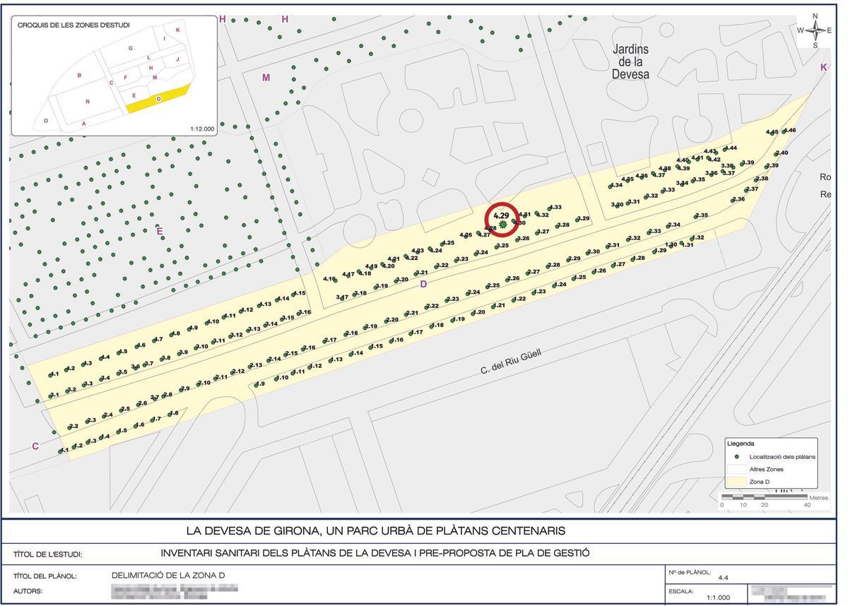 Dibuix-croquis d’una possible solució per garantir l'estabilitat dels arbres afectats. No està a escala.