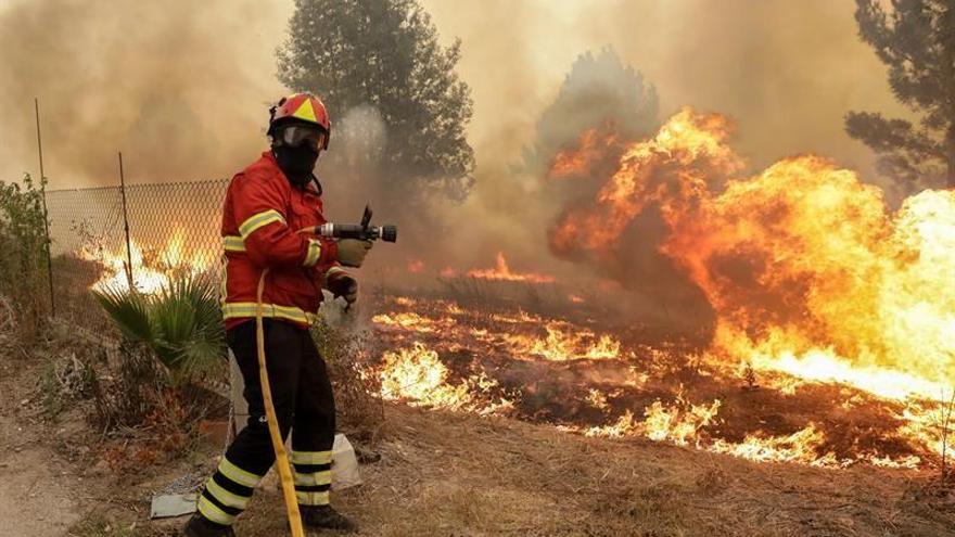 Portugal supera su récord de incendios con más de 300 fuegos registrados hoy