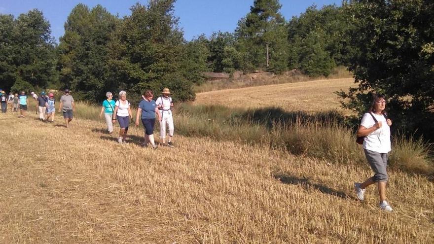 Caminada de la passada edició de la diada de Territori de Masies