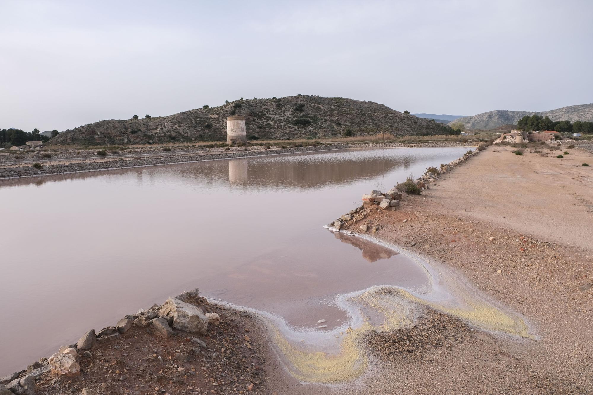 Un mundo extraterrestre en Villena