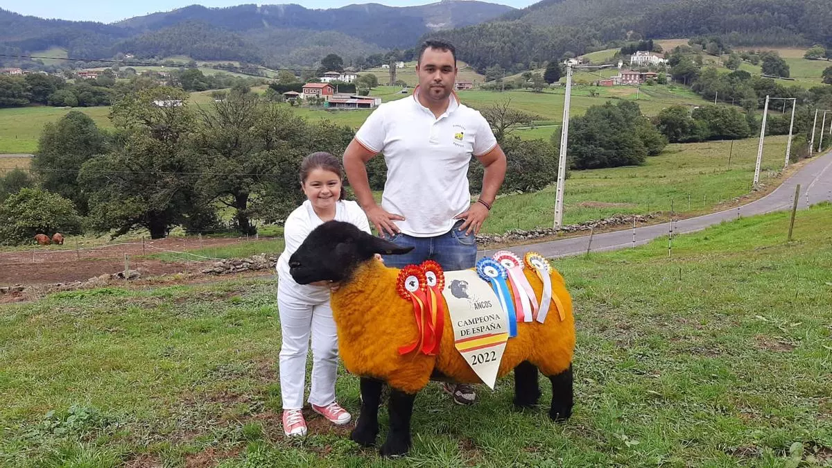 La reina nacional de las ovejas Suffolk, resultado de diez años de trabajo y selección genética y una buena dieta de cereales y pasto de Llanera
