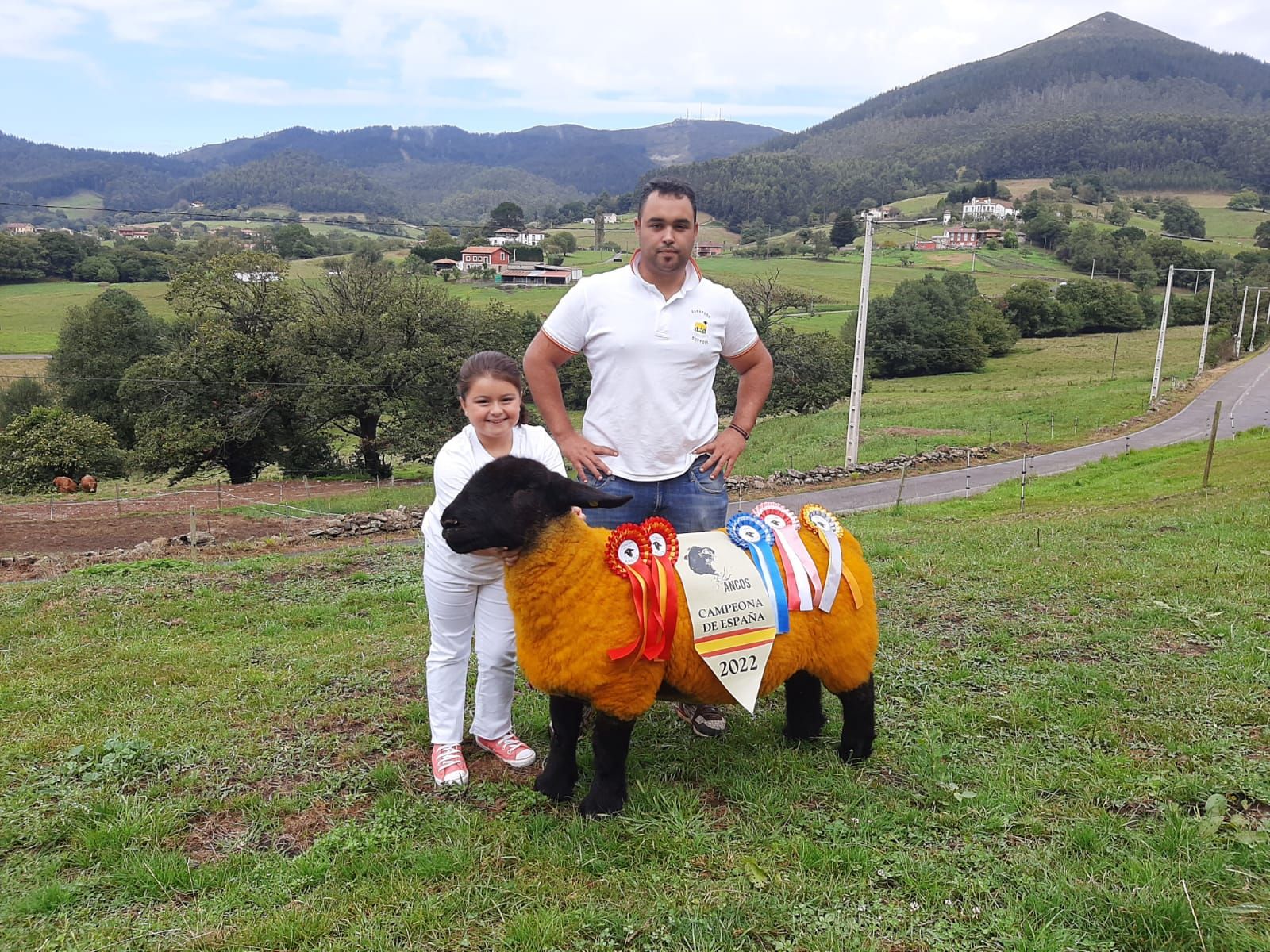 La mejor oveja Suffolk de España, nacida y criada en Llanera
