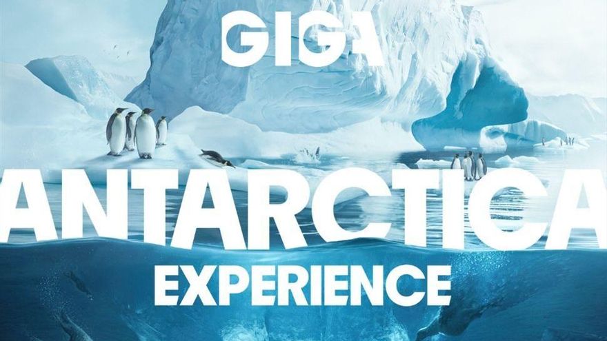 Oferta TRESC | Antarctica Experience