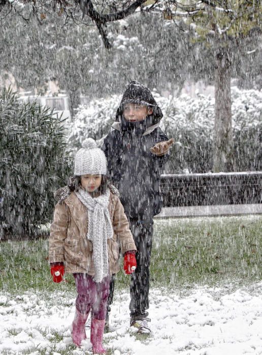 Cinco años de la gran nevada en Palma