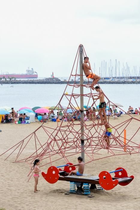 Dia del Pino en la Playa de Las Alcaravaneras