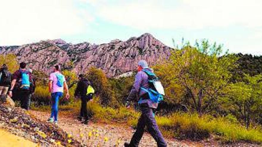 Més de 300 persones participen en la 21a edició de la Caminada de Primavera Abrera-Montserrat | AJUNTAMENT D’ABRERA