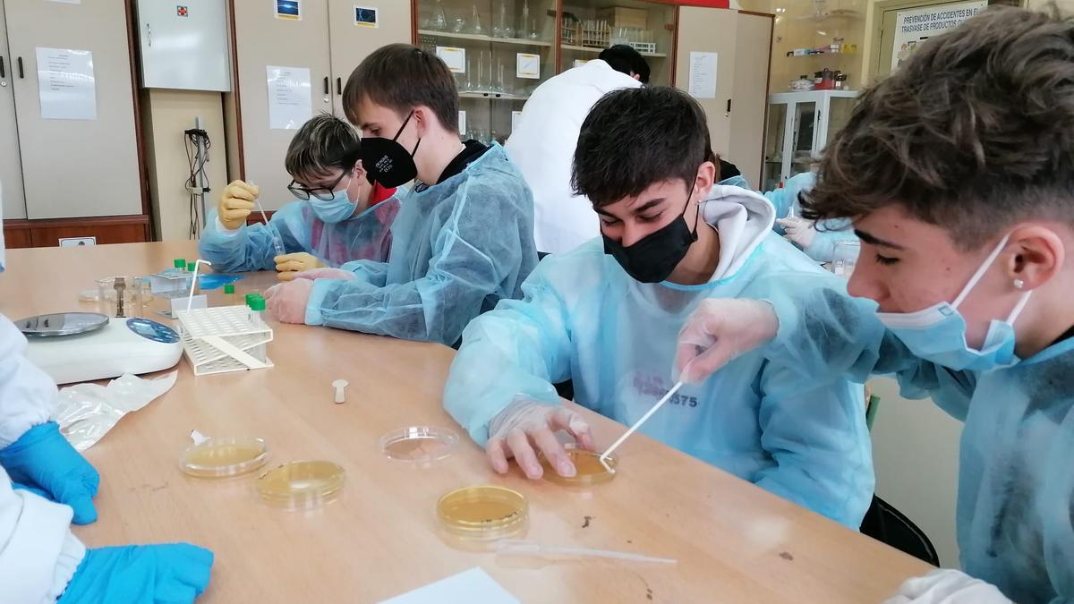 A lo largo de cinco sesiones, el alumnado ha realizado distintos experimentos en el laboratorio sobre los antibióticos.