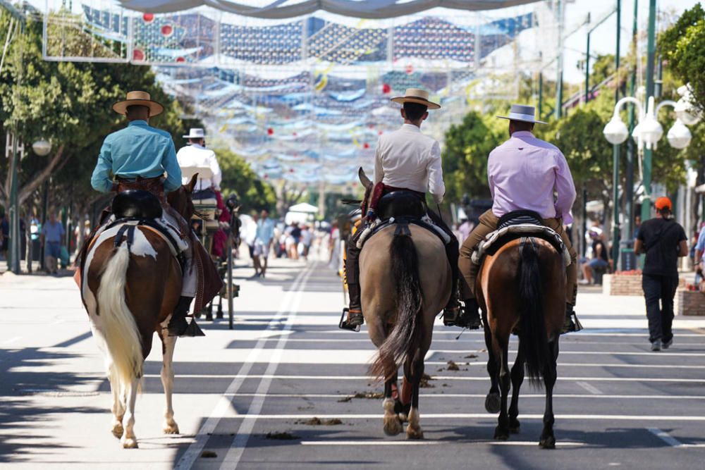 Primeros caballos en el Cortijo de Torres