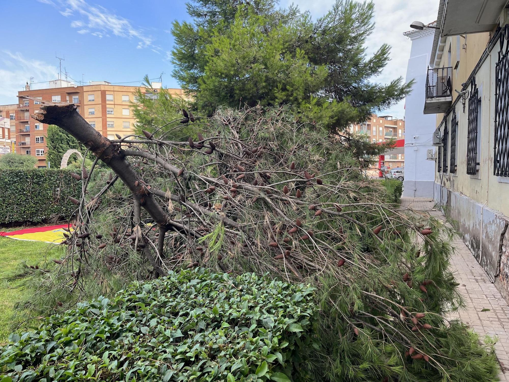 Efectos de la DANA en la localidad de Nules