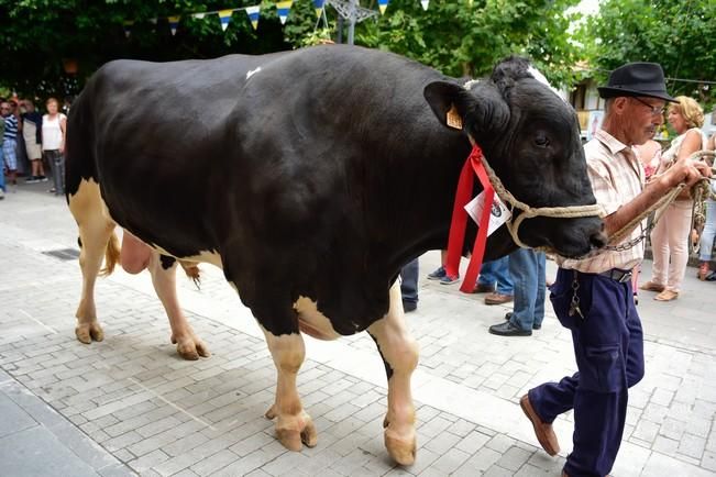 Fiestas de San ROQUE en Firgas