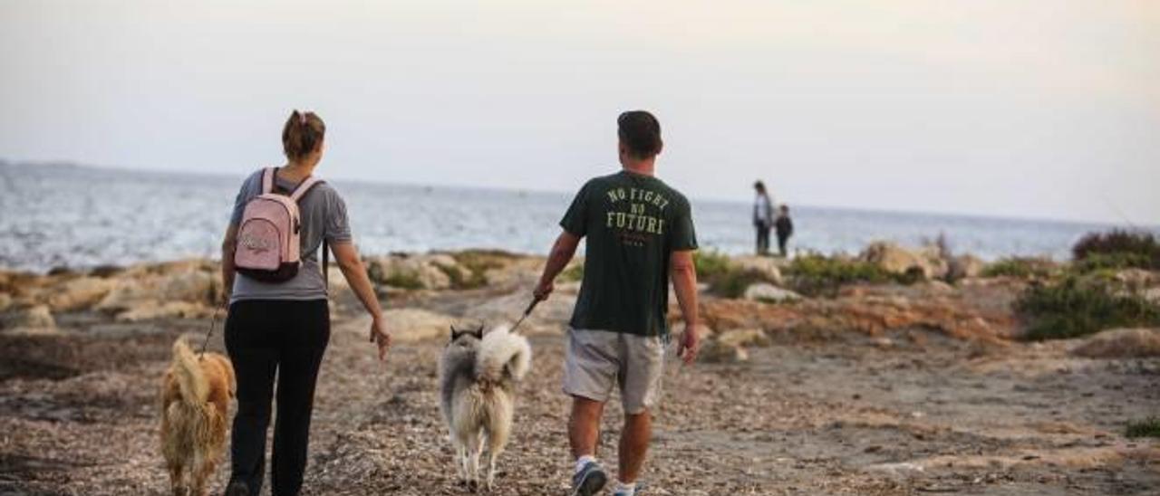 Las calas del Cabo fueron las primeras candidatas para acoger la playa canina