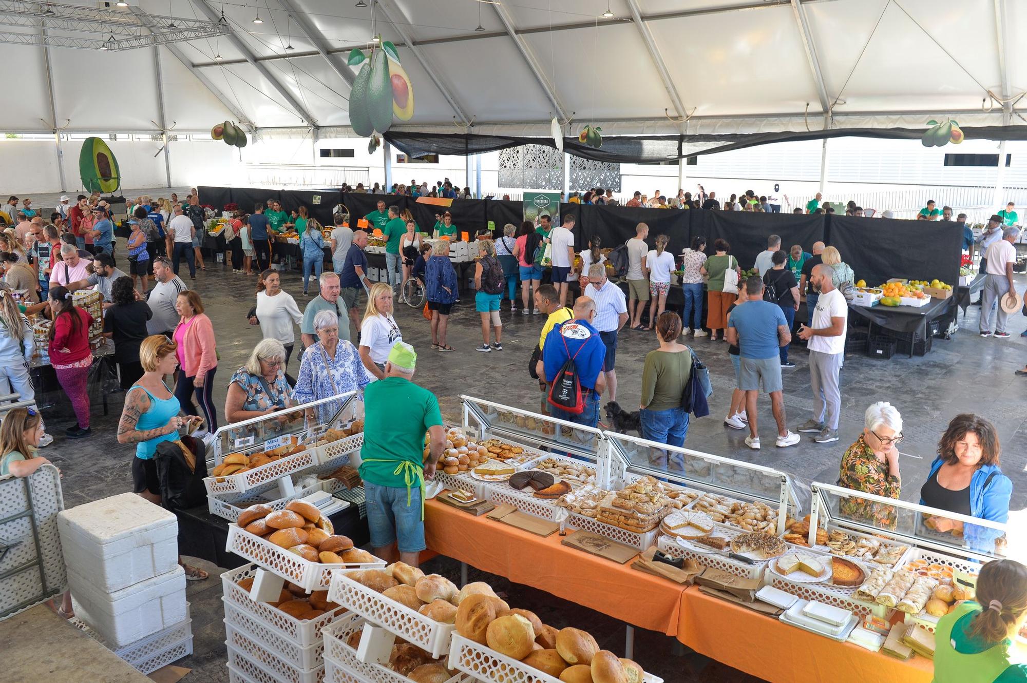 Feria del Aguacate Arguineguín 2022