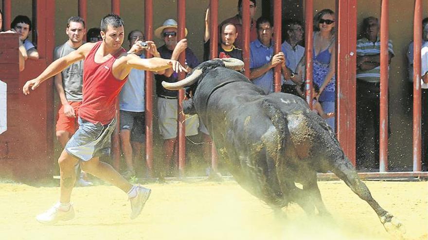 Vall d’Alba cita a los mejores recortadores de la provincia