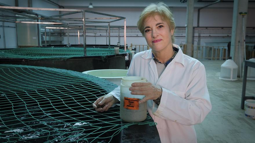 Marisol Izquierdo López: &quot;En Canarias queda un 10% de la pesca que teníamos en los años 60&quot;