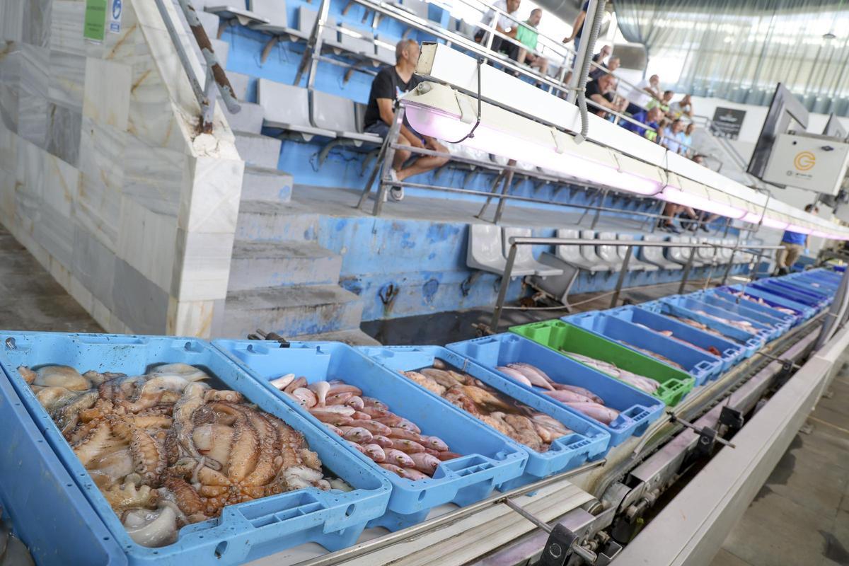 Subasta de pescado en la lonja de La Vila Joiosa.