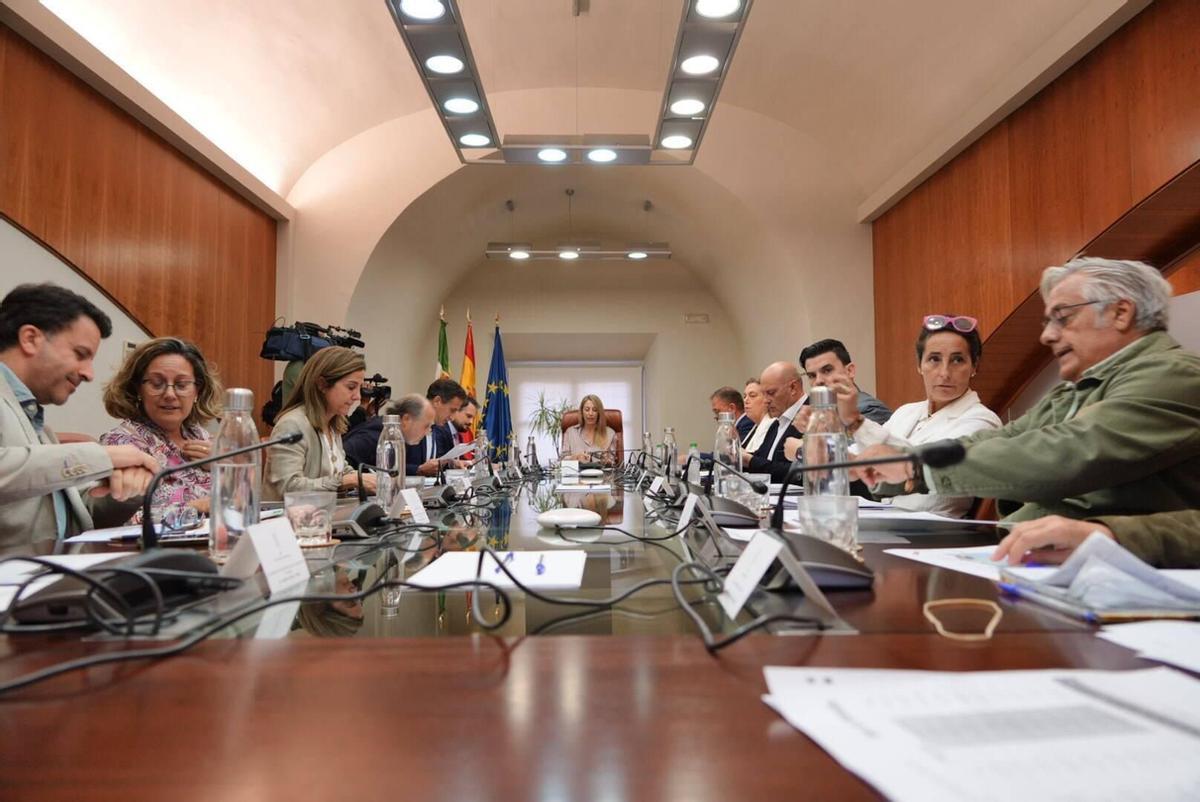 Asistentes al Consejo de Capitalidad, el pasado martes, en Mérida.