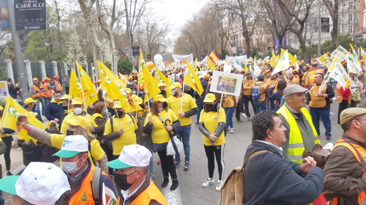 Participantes de COAG de Córdoba en la manifestación de Madrid.