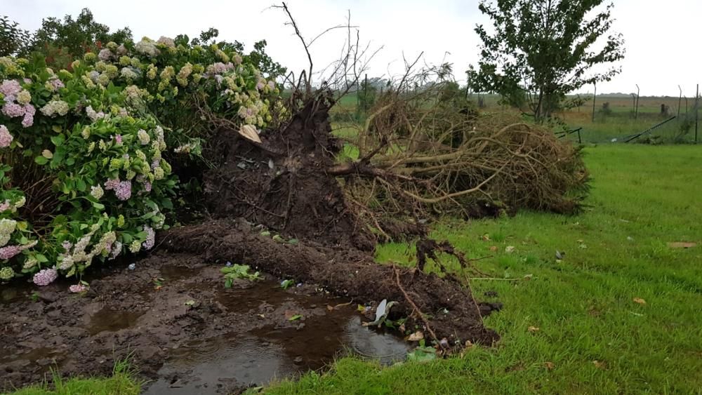 Tornado en Ballota