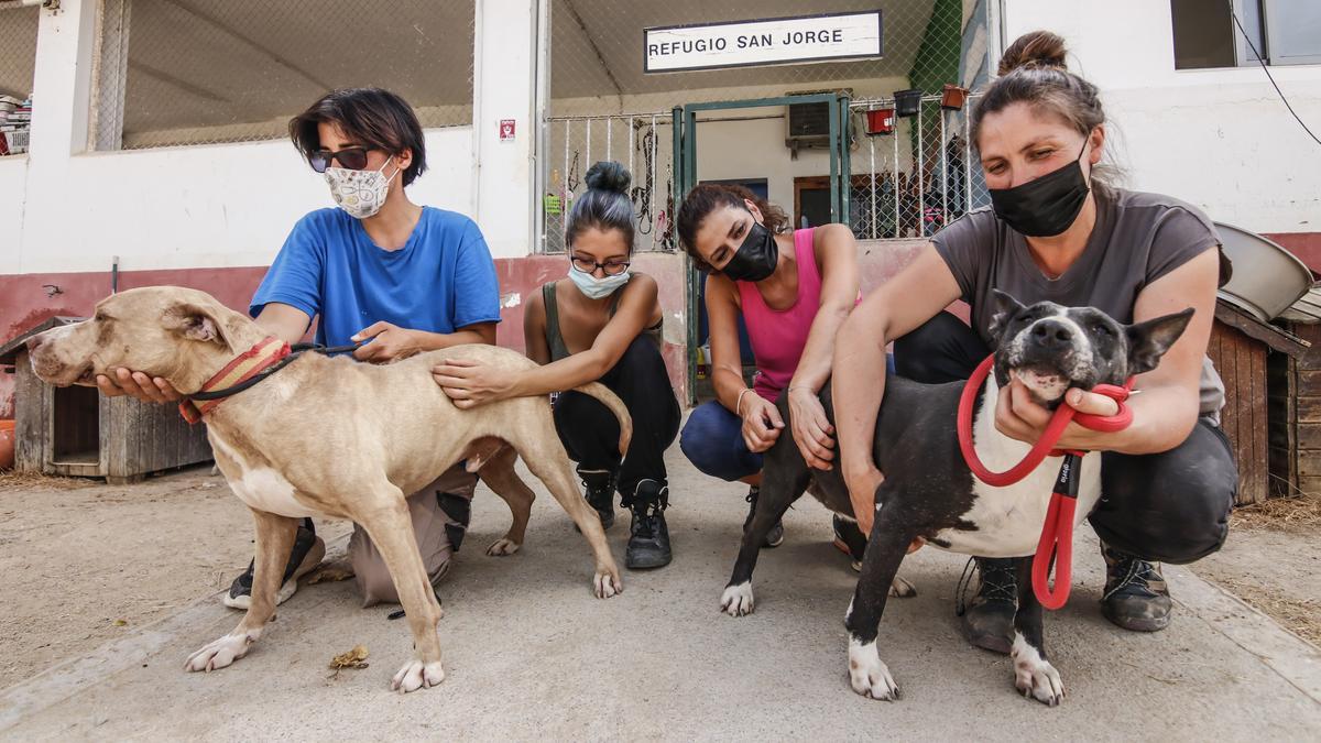 Voluntarias de la perrera junto a Jade y Jacob en el Refugio San Jorge.