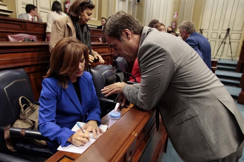 Pleno del Parlamento de Canarias