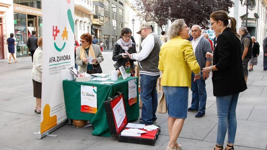 Actividad organizada por AFA Zamora