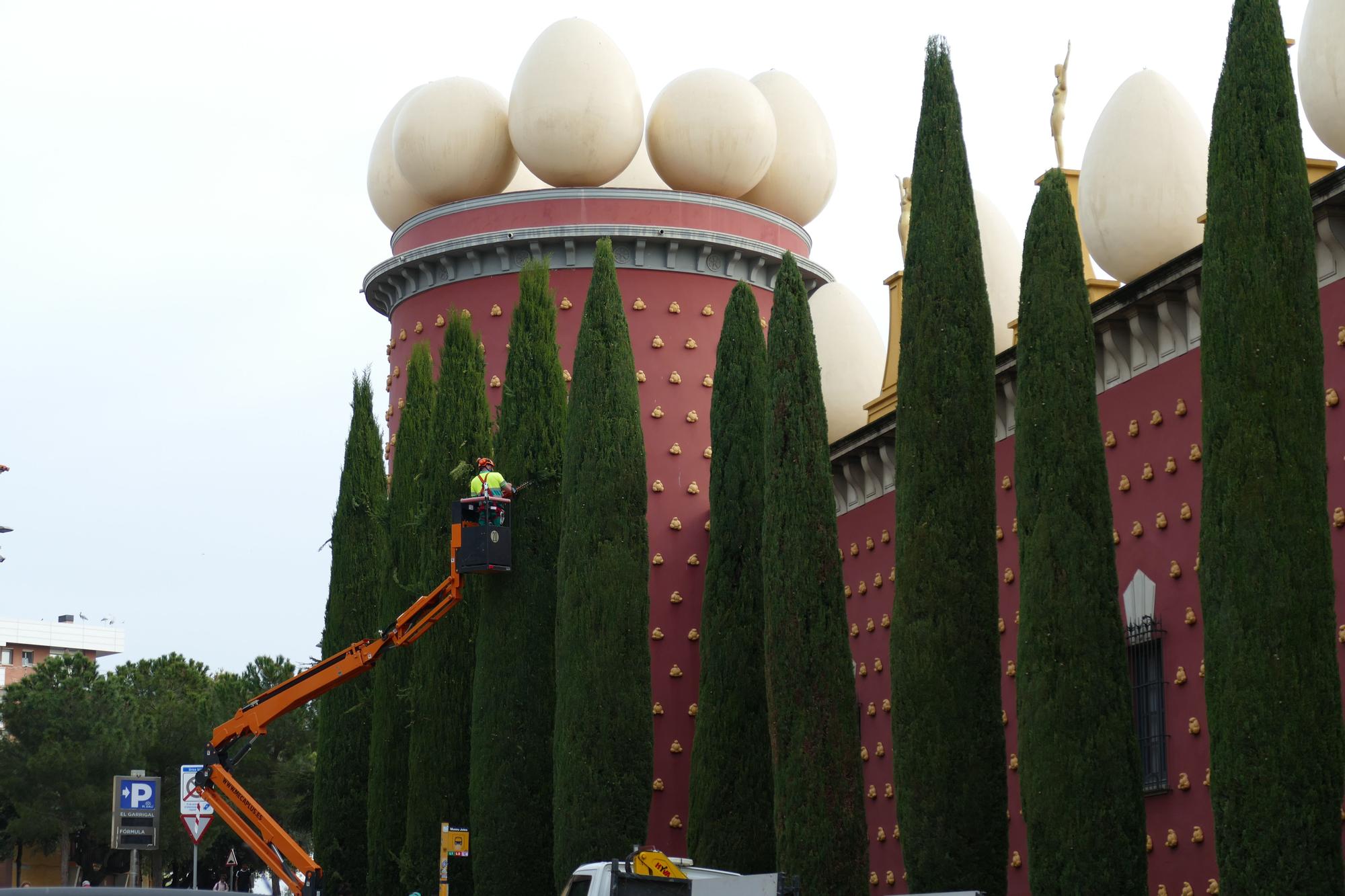 Poden els xiprers del Museu Dalí de Figueres