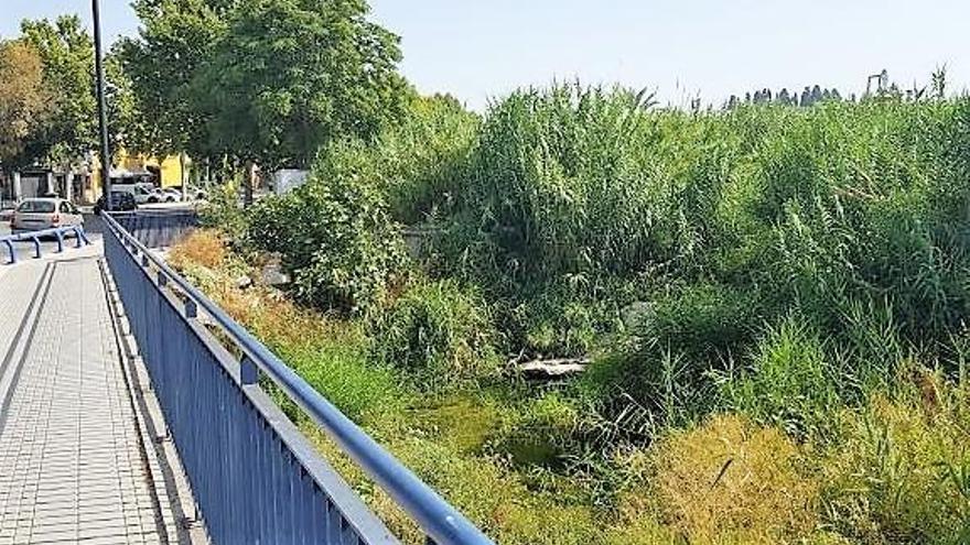 El Ayuntamiento adjudica la limpieza del cauce del río Lucena