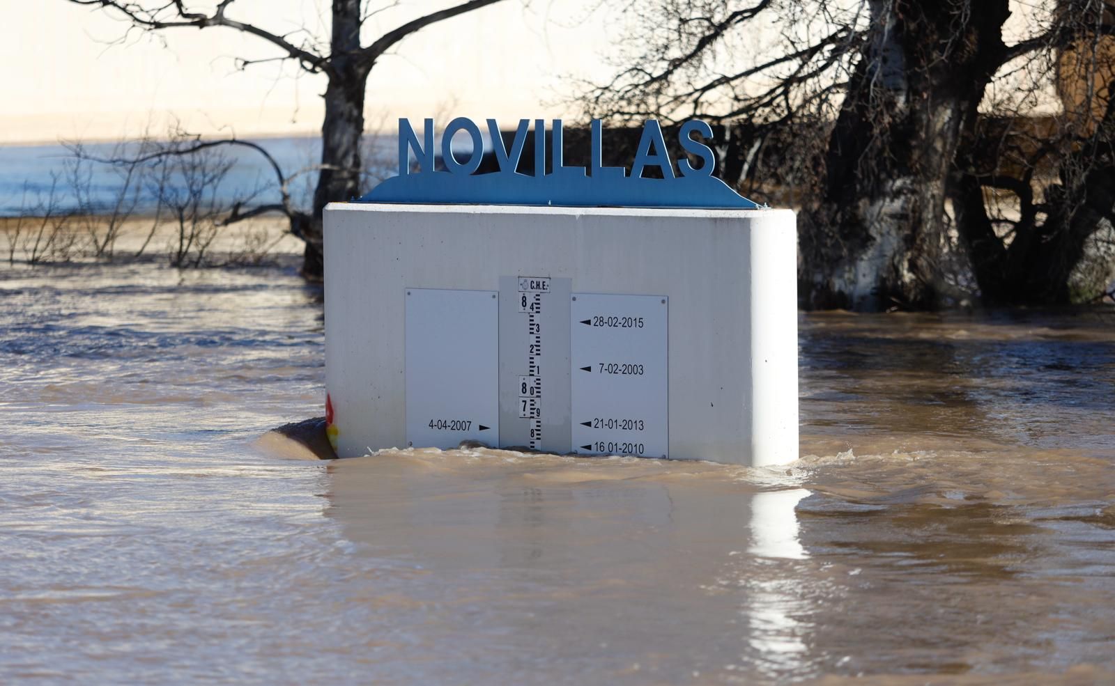 En imágenes | Así transcurre la crecida del Ebro a su paso por Aragón