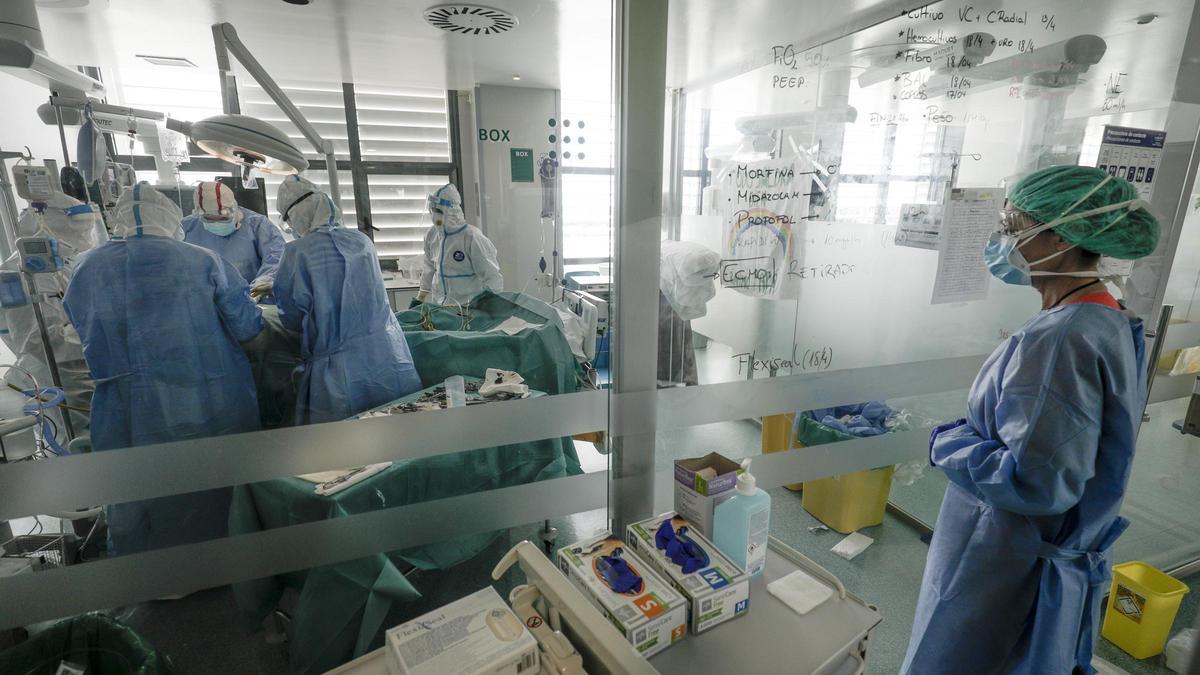 En Mallorc hay 229 personas hospitalizadas por Covid-19