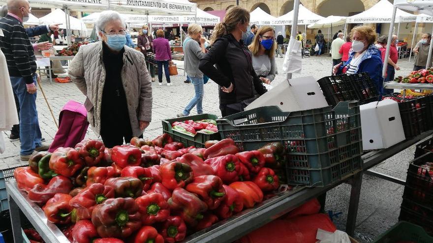 Las ferias del Pimiento y de la Artesanía de Benavente desafían al mal tiempo