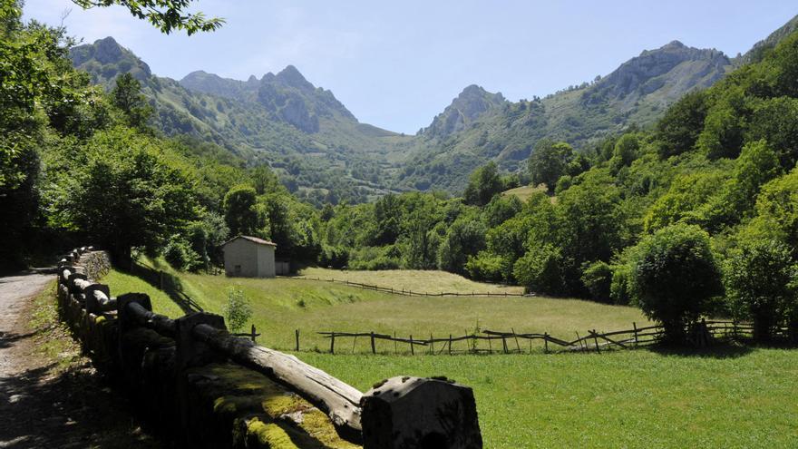 El Gobierno regional rechaza que el monte Raigosu, en Laviana, sea un bien comunal