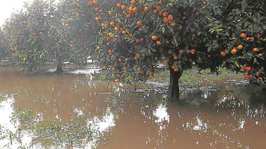 Las lluvias elevan en un fin de semana casi un 17% el agua embalsada en Castellón