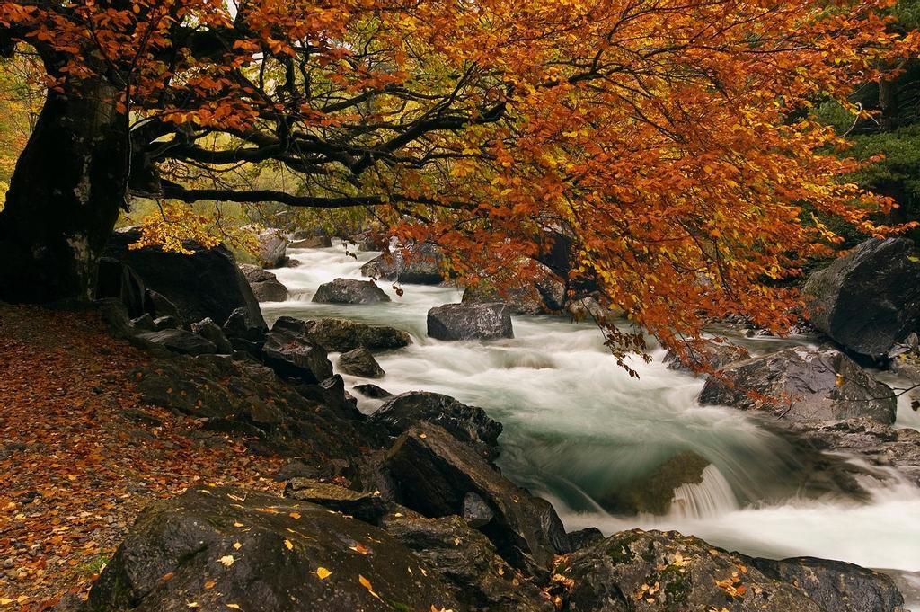 Ordesa en otoño