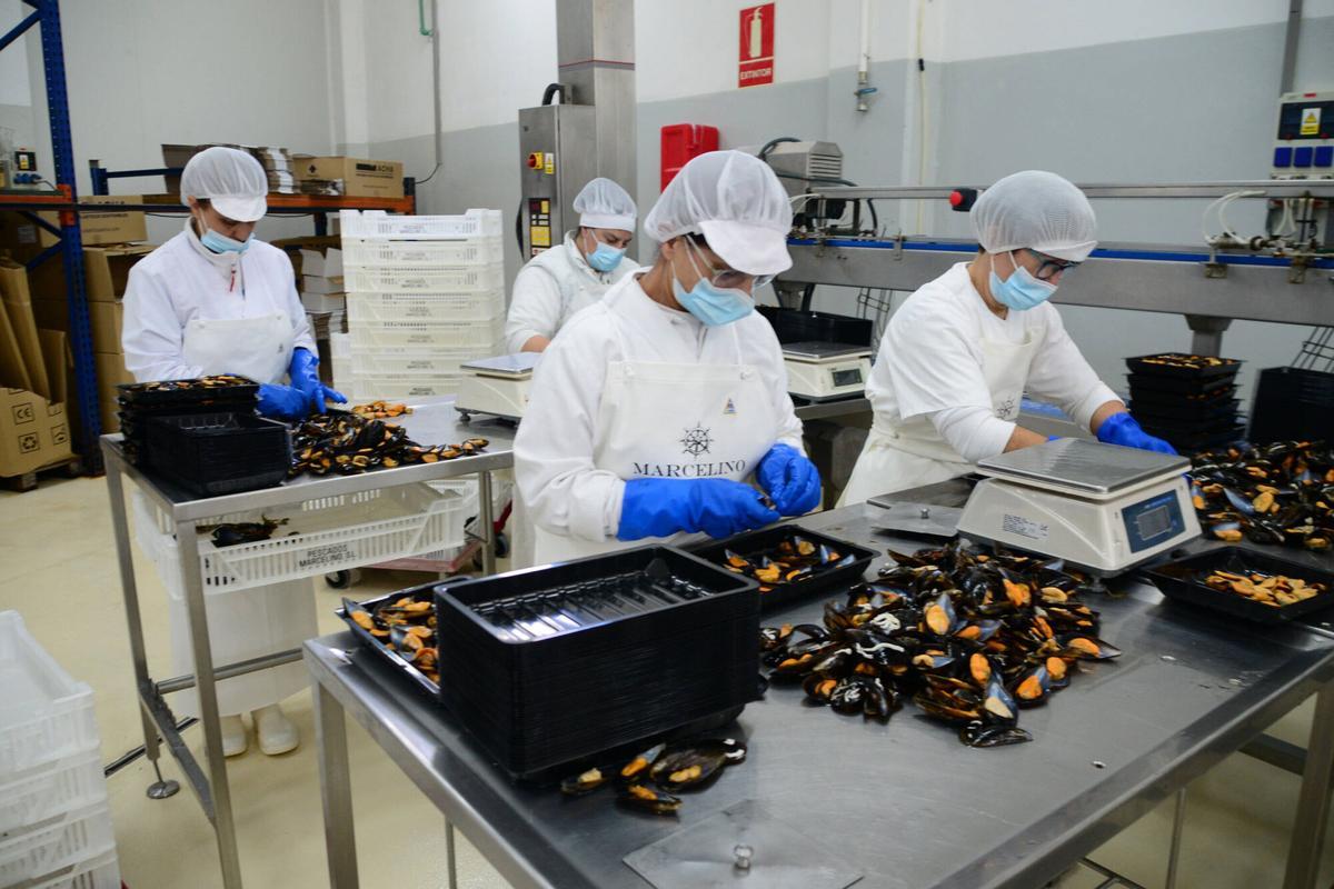 Trabajadoras en Pescados Marcelino en abril.
