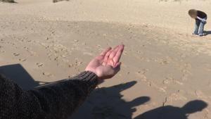 Pequeño vertido de pellets en la playa de Bolonia, en Tarifa (Cádiz).