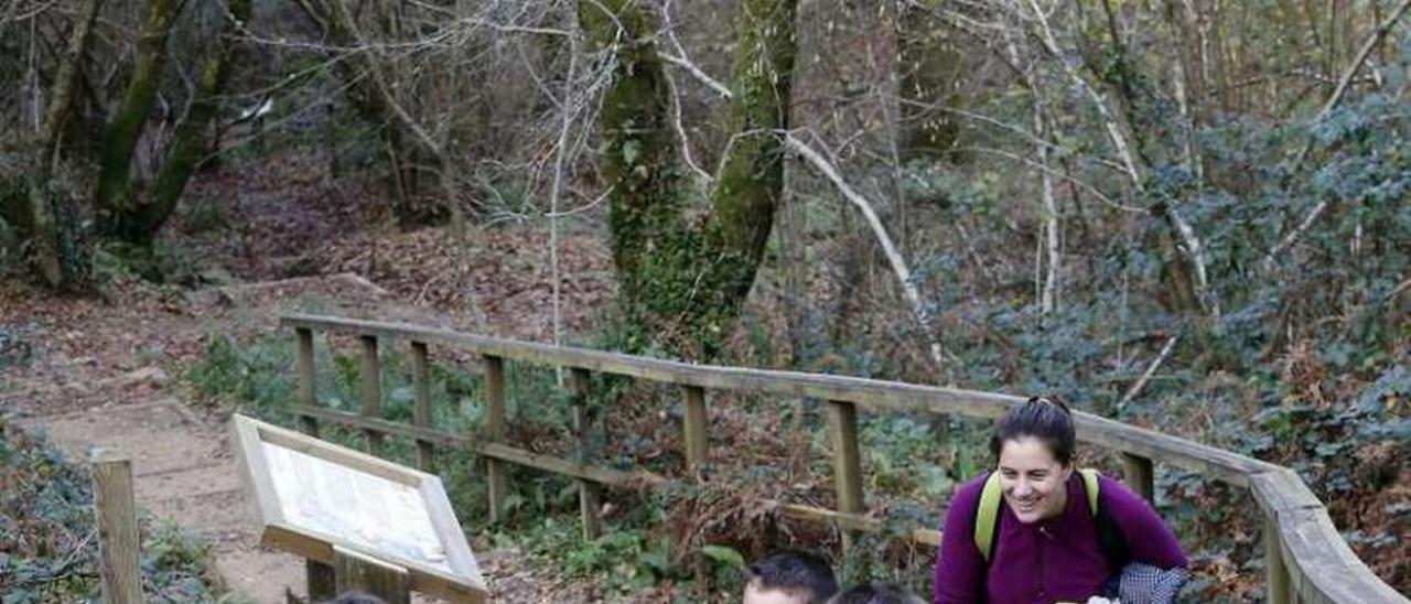 Varios niños recorren el parque botánico, el día de su inauguración. // Marta G. Brea