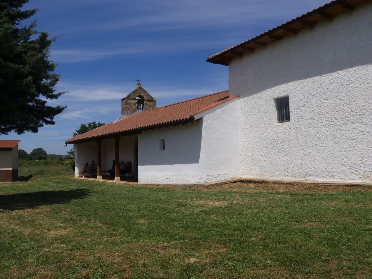 La fiesta romera de la Trinidad de Camarzana de Tera, en imágenes La fiesta romera de la Trinidad de Camarzana de Tera, en imágenes
