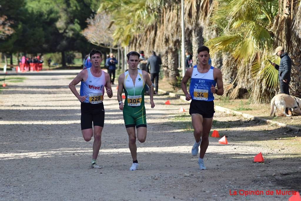 Copa de clubes de cross (I)