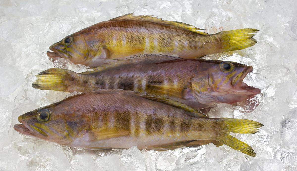 Productos del mar kilómetro 0 y obtenidos a partir de métodos de pesca sostenibles.