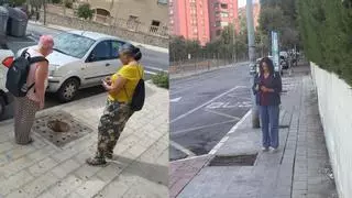 En busca de los árboles caídos en Alicante