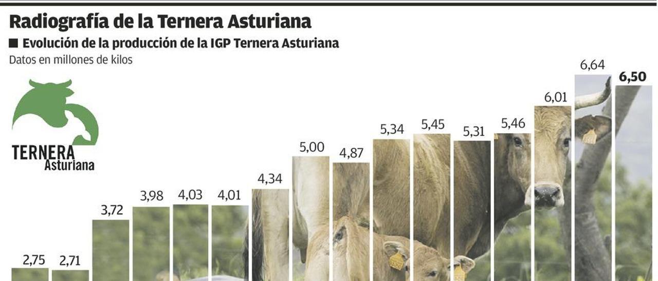 La ternera asturiana gana presencia: el 28% de la producción se vende fuera