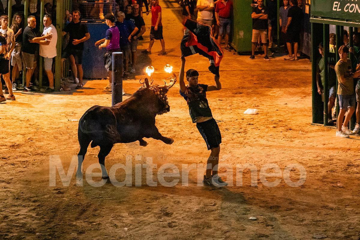 Bous a l'Alcora 2025