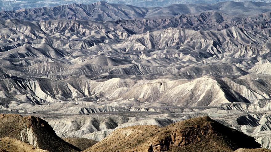 &quot;La desertificación en España ya no es un riesgo, es un problema&quot;, alertan los científicos