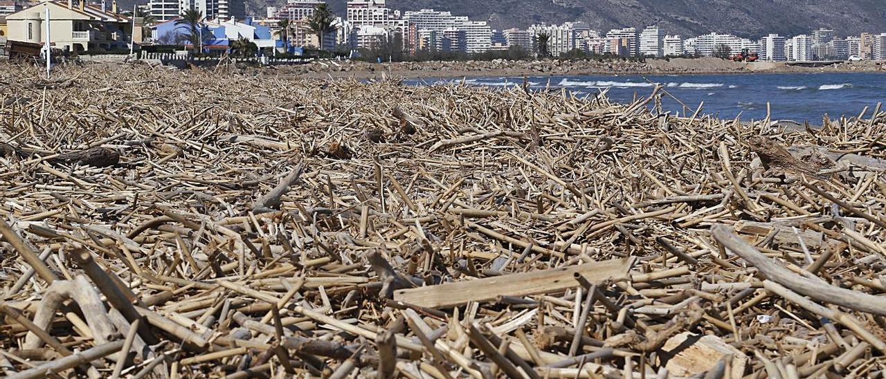 El temporal depositó toneladas de residuos y cañas en algunas playas de Cullera. | VICENT M. PASTOR