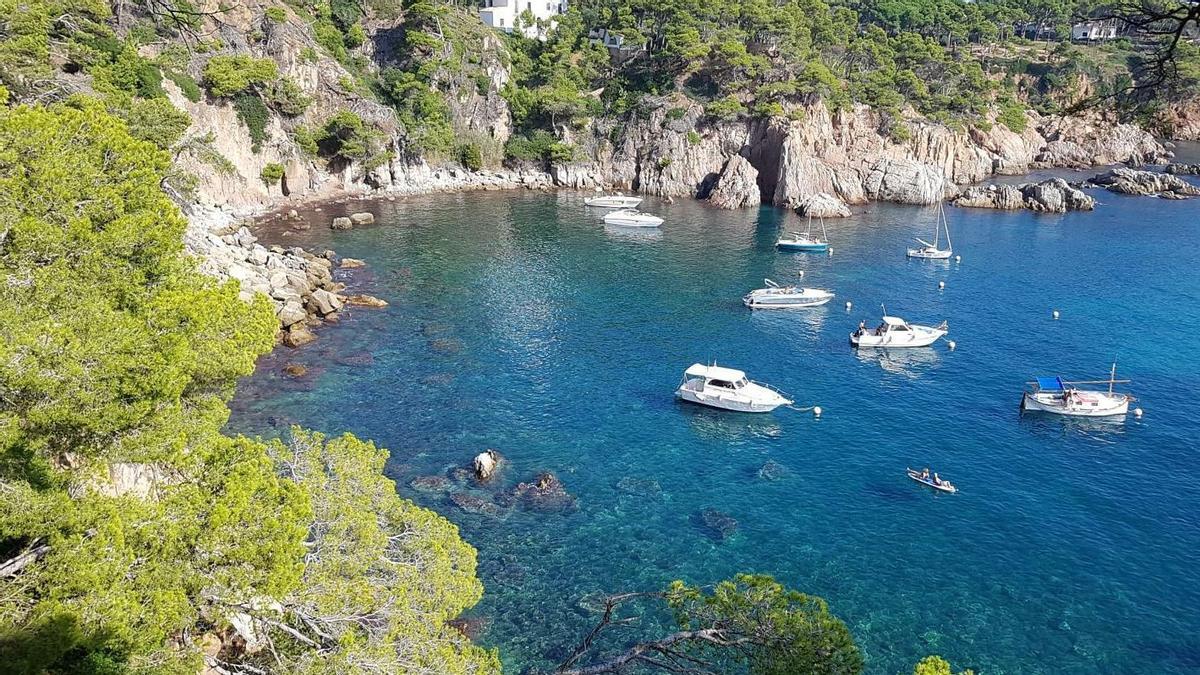 Cala Sénia en Palamós