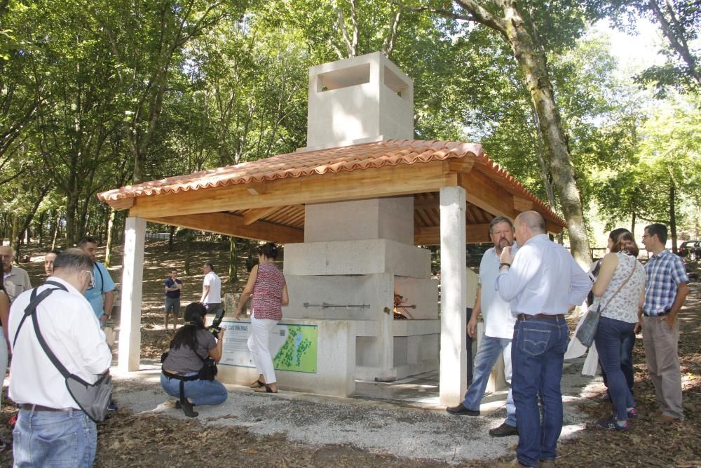 Castiñeiras vuelve a olear a asado