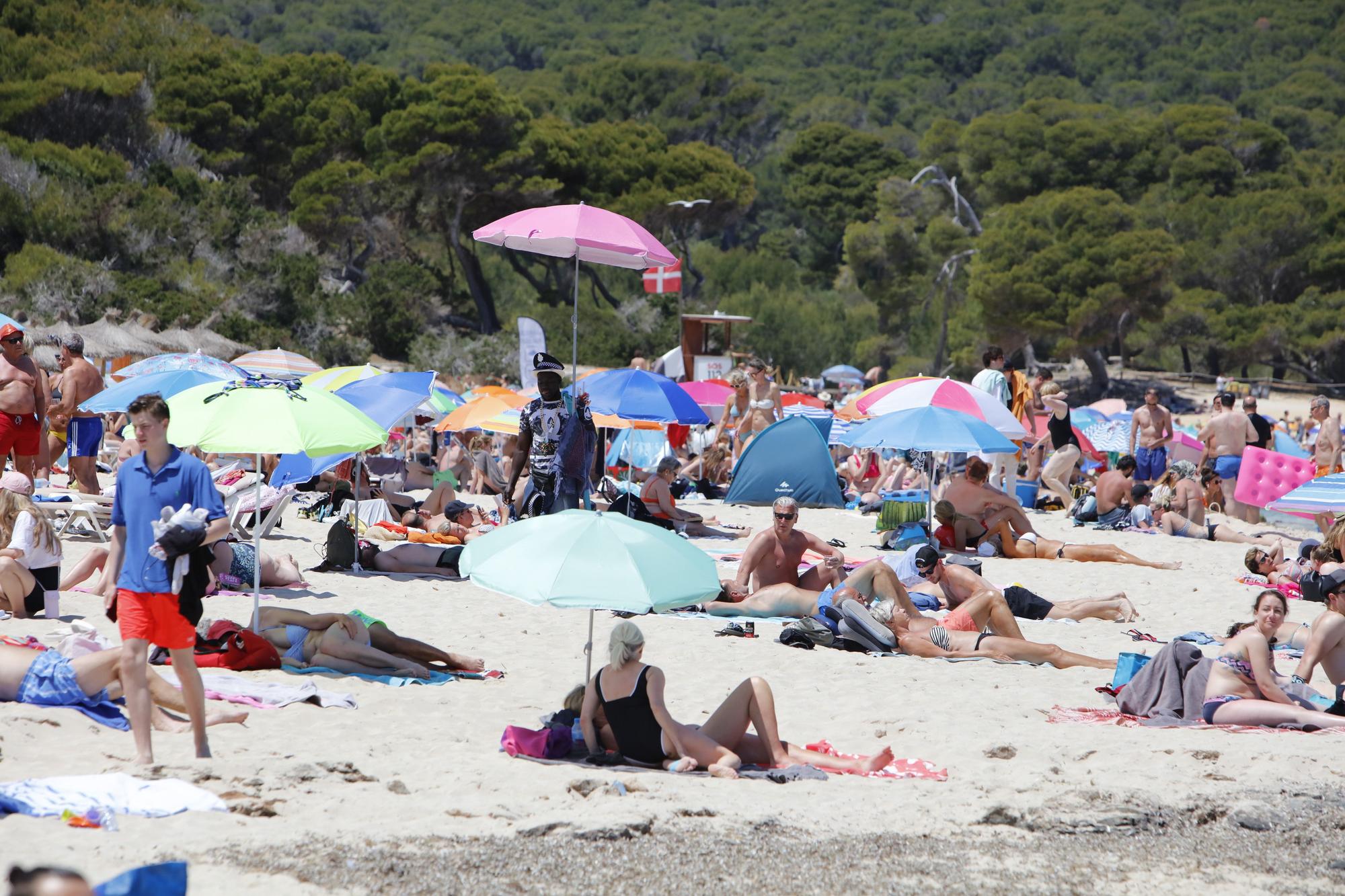 Wie im Hochsommer. So vergnügen sich schon jetzt die Urlauber an der Cala Agulla bei Cala Ratjada